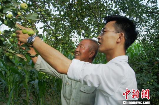 到2016年10月底，梁磊公司已累计向贫困户果农收购海红果2700吨。　王斌田 摄