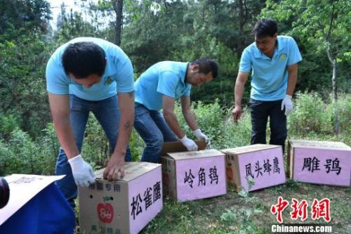 资料图：云南省野生动物收容拯救中心工作人员准备放归野生动物。　任东 摄