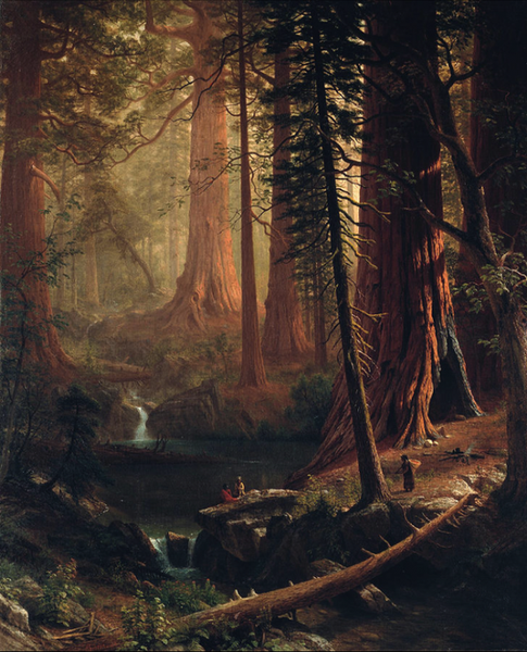 阿尔伯特·比尔史伯特，《加利福尼亚的巨型红杉树》，约1874年