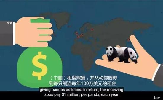 外媒:熊猫是中国的赚钱工具、外交手段和置换筹码