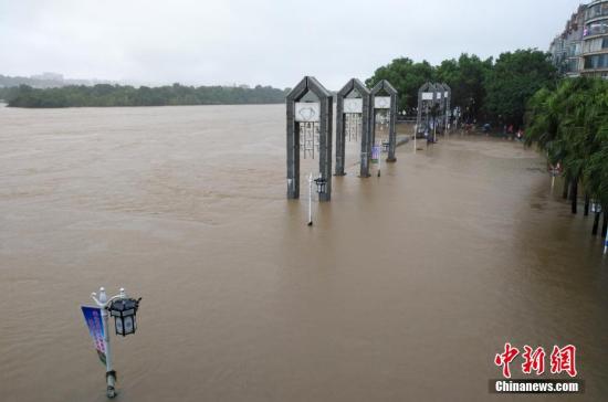 受新一轮连续强降雨影响，8月15日2时10分，漓江桂林水文站出现147.51米洪峰水位，超警戒水位1.51米，为今年最大洪水。当天漓江旅游船舶、排筏全线封航。 赵琳露 摄