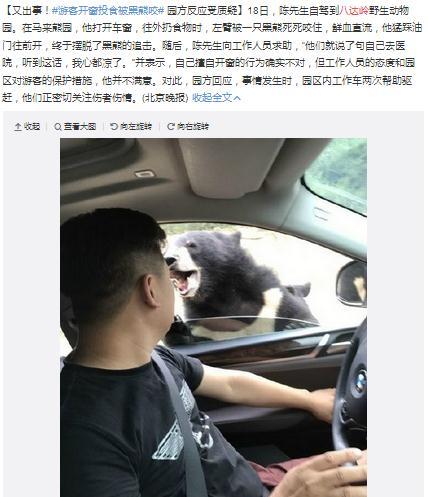 8月18日，一名陈姓男子在八达岭野生动物园游玩违规开窗遭熊咬。微博截图