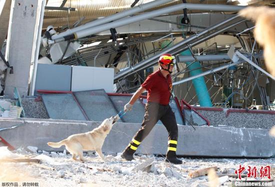 意大利北部29日发生里氏5.8级地震，震源深度10公里，目前死亡人数已升至16人，另有350人受伤。图为救援人员带着搜救犬在灾区进行救援工作。
