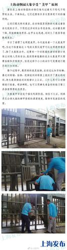 上海动物园大象“美甲” 因缺乏运动趾甲生长迅速