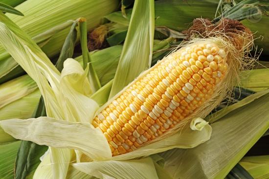 玉米营养超出想象 哪种吃法适合你？
