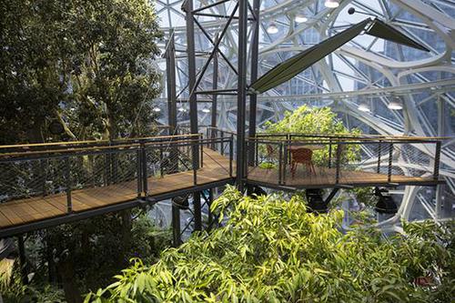 豪砸40亿美元！亚马逊总部扩建了一片“热带雨林”