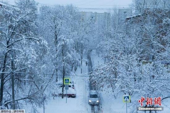 副市长提醒莫斯科居民要特别小心，因为积冰可能导致公园和广场的树木倒塌。