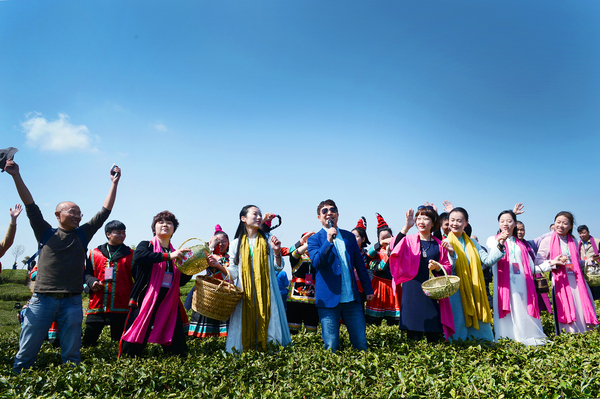 13茶山放歌，畲族的采茶妹们互动，是茶产业宣传的最好体验