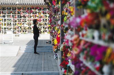 3月31日，八宝山革命公墓骨灰堂内，一位市民正在祭拜逝去的亲人。新京报记者 彭子洋 摄