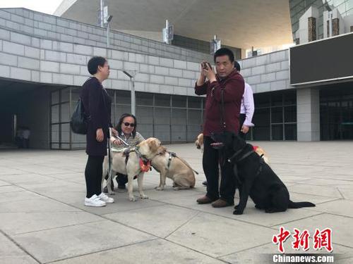 盲人与导盲犬在公共场所休息。　杨静 摄