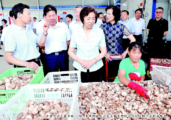台盟中央主席苏辉（中）率调研组在兴农友菌类种植合作社了解产业脱贫情况