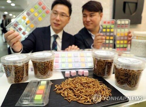 韩国人爱上昆虫餐：昆虫养殖供不应求