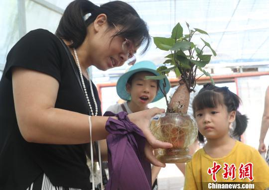 一游客母亲捧着无土栽培地瓜盆景向孩子进行农业科普教育。　黄水林 摄
