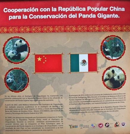 图为墨西哥城查普尔特佩克动物园内宣传中墨友好的标牌