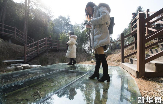 1月22日，游客在上虞区凤凰山考古遗址公园参观古窑址的青瓷残片。