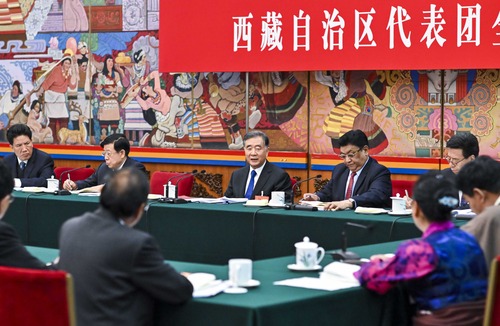3月10日，中共中央政治局常委、全国政协主席汪洋参加十三届全国人大二次会议西藏代表团的审议。新华社记者 李学仁 摄