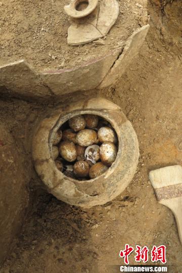2500年前的鸡蛋 史骏 摄