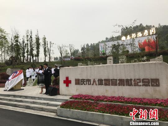2019全国人体器官捐献缅怀纪念暨宣传普及活动在重庆举行