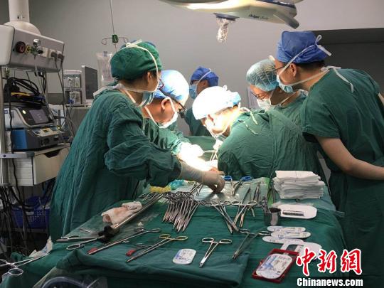 4月26日，四川省人民医院手术团队正在进行肝脏移植手术。四川省人民医院供图 钟欣 摄