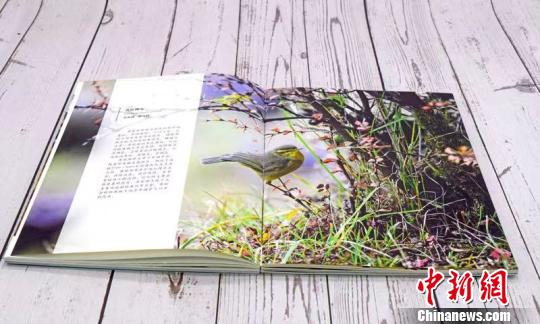 “环喜马拉雅生态博物丛书”发布鲜活展示西藏生物多样性