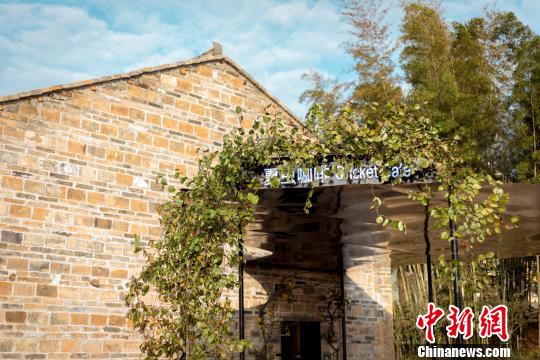 中国建筑师王彦，将夏木塘村内一座90年历史的旧宅改建为咖啡厅，取名“夏虫咖啡”。主办方供资料图