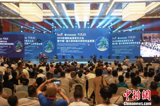 2019年国际盆景赏石大会在贵州遵义开幕