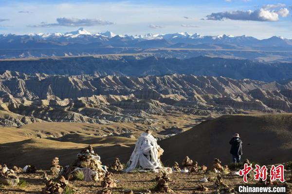 植物化石揭示了青藏高原西端的干旱化过程