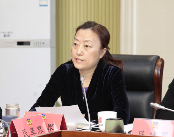 民盟东城区委常务副主委李辉在会上发言