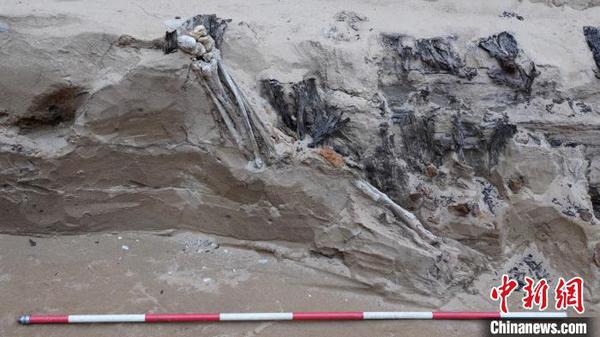 M189中发现的青年男性人骨，考古人员碳十四年代测定，推测此人应为盗墓者，从椁顶盗取椁室随葬品时因盗洞坍塌而被掩埋。河南省文物考古研究院供图