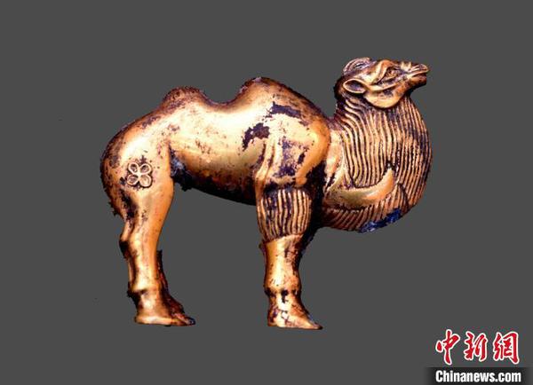 图为出土的金骆驼。秦始皇帝陵博物院供图