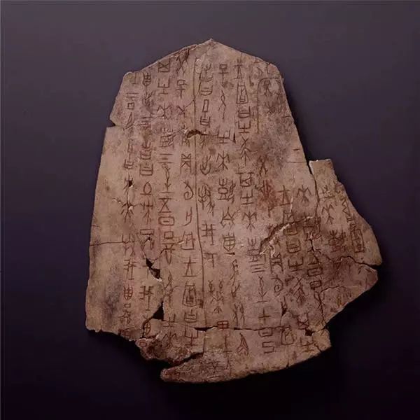 土方征涂朱卜骨刻辞，商，长22.5厘米，宽19厘米，中国国家博物馆藏