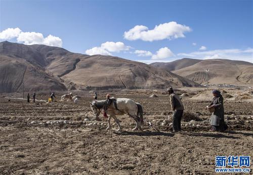 （经济）（1）西藏：珠峰脚下春耕忙