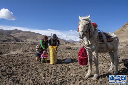 （经济）（3）西藏：珠峰脚下春耕忙