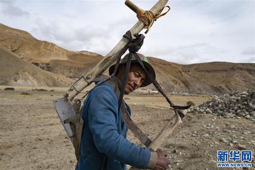 （经济）（6）西藏：珠峰脚下春耕忙