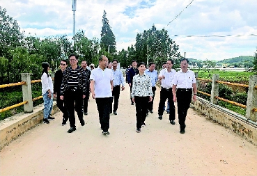     2019年6月24日，熊瑞丽率队开展河长制工作督察。
