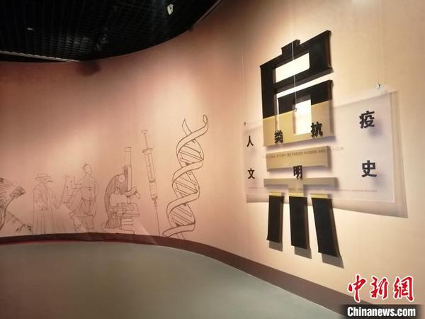 “启示--人类抗疫文明史”展4日在辽宁省博物馆进行。　李晛 摄
