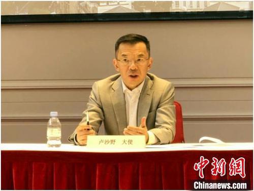中国侨网当地时间7月3日，中国驻法国大使卢沙野与旅法侨界举行视频座谈会。中国驻法使馆提供