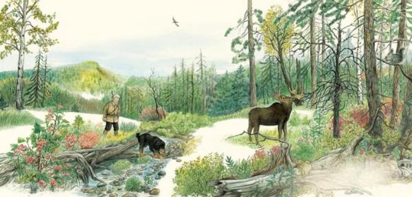 《鄂温克的驼鹿》内页图画，由女画家九儿执笔。接力出版社供图