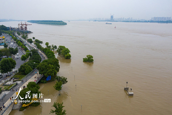 连日来，长江南京站潮位持续超警戒。2020年7月14日15时，长江南京潮水位站潮位达10.05米，超警戒1.35米。苏阳人民图片