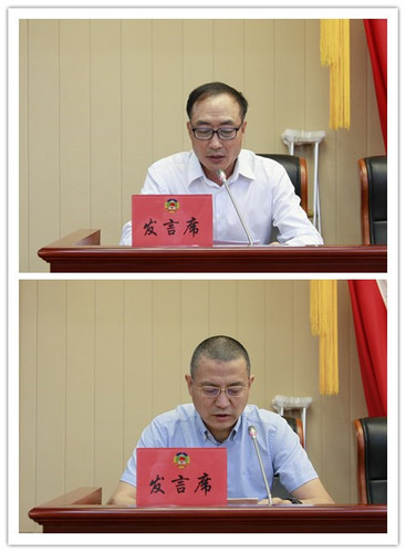 张志勇、刘权委员汇报调研建议案和调研报告