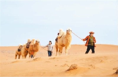 驼峰文物保护队在沙漠腹地进行巡查。6