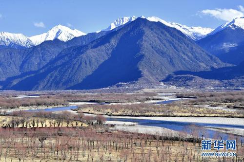 　　西藏雅尼国家湿地公园一景（2月2日摄）。
