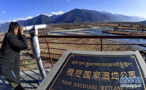 　　一名游客借助望远镜观看西藏雅尼国家湿地公园的景色（2月2日摄）。