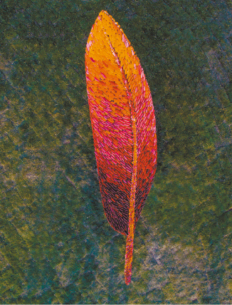 天象四神-朱雀（陶瓷、金属）620×150×220cm-2017年-郅-敏