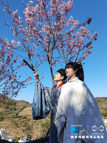 7汉服爱好者在樱花树下赏樱。新华网发（夏海滨 摄）