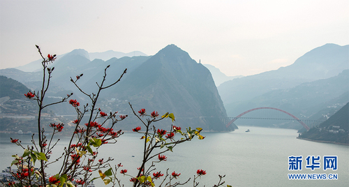 4这是重庆市巫山县巫峡口盛开的刺桐花，花与桥相对，山与水相融。新华网发（朱云平 摄）