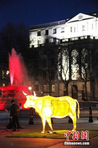当地时间2月10日晚，“中国新年灯光秀”在英国伦敦特拉法加广场开启，庆祝中国农历新年“牛年”的到来。图为牛年彩灯。 中新社记者 张平 摄