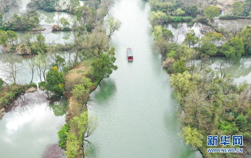 3月2日，游船行驶在西溪湿地水道上（无人机照片）。2