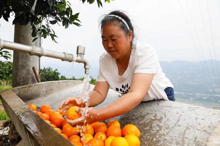 背对长江，重庆市奉节县朱衣镇仙女村村民李英在洗橙子。（妇基会供图）