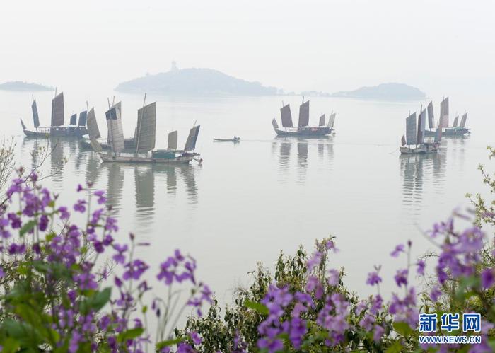 4月7日清晨，江苏无锡太湖出现晨雾，几艘帆船停在水面，与岸边的鲜花相映成趣。